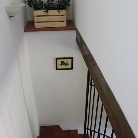 Agroturismo Francini *