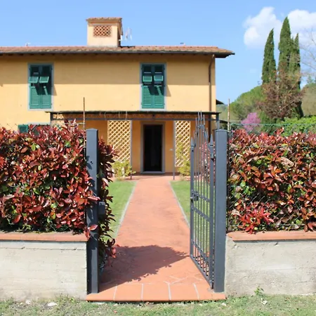 Francini