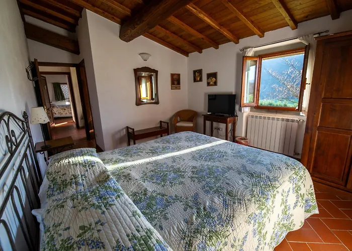 팜스테이 Francini *